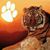 Janet Green Thackston's profile image