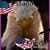 Mike Yoger's profile image