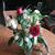 Lisa Gingerich's profile image