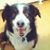 Ginny Killila's profile image