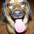 Tarnee' Kendell Hudson's profile image