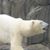 Dorene Sauer's profile image