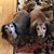 Deborah Burritt's profile image