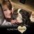 Ingrid Leverett's profile image