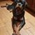 Libby Hochhalter's profile image