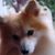 Gaby Berben's profile image
