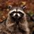 Virginia van der Goore's profile image