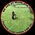 Jack Kendall's profile image