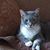Barbara Bailey Mcchesney's profile image
