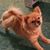 Angelia Melissa Ford's profile image
