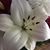 Cathy Gentry's profile image