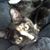 Lynn Lilly's profile image