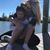 Jennifer Waegenaere's profile image