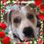 Ellen Gagliano's profile image