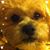 Susan Dubendorfer's profile image