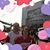 Lori Hagen's profile image