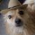 Amy Uselman Johnson's profile image