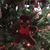 Helen Messier-Sykes's profile image