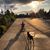 Sarah Mager Plaksey's profile image