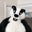Badger Badger's profile image