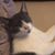 Alison Jamieson's profile image