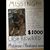 Lisa Frazier Nipper's profile image