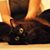 Liz Newslice's profile image