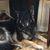 Deb Dailey Sharpe's profile image