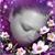 Mickey Mcgovern's profile image
