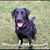 Heather Maille's profile image