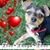 Debbie Harris's profile image