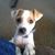 Brandy DeAngelino's profile image