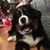 Sarah Jane Atkinson's profile image