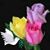 Gerardo Sanchez Juan de Leon's profile image