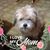 Marshell Nichols's profile image
