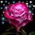 Shonia Murphy's profile image
