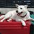 Susan Morrison-Leary's profile image