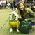 Daelynn Baughman's profile image
