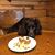 Karen Buck's profile image