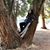 Sara Rodrigues's profile image