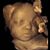 Andrew Herndon's profile image