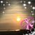 Jami Doss Franks's profile image
