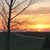 Cindy Bolick's profile image