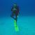 Andrea Mekkelson's profile image