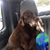 Linda Athearn's profile image