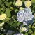 Rita Modlin Powell's profile image