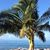 Elaine Carlos's profile image