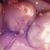 Betty Leroy Gonzales's profile image
