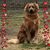 Wanda Tapp- Kratzer's profile image