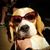 Heidi Jones McKeon's profile image